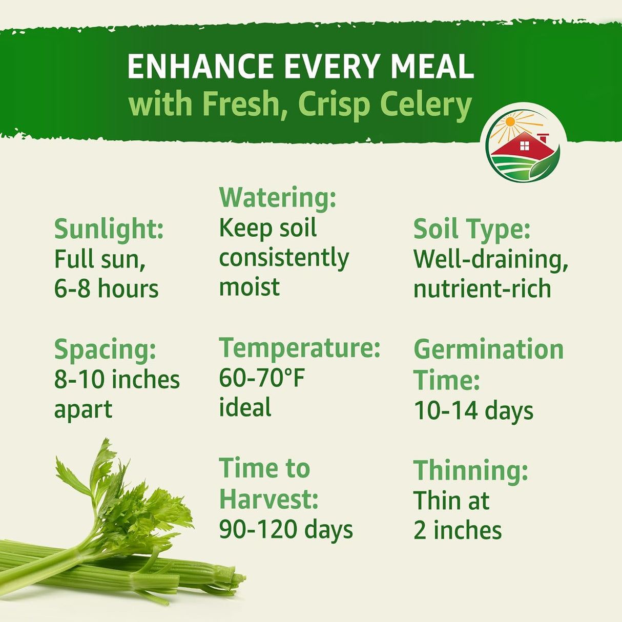 Semillas de Apio 52-70 de TKE Farms, No GMO, 2500+ semillas