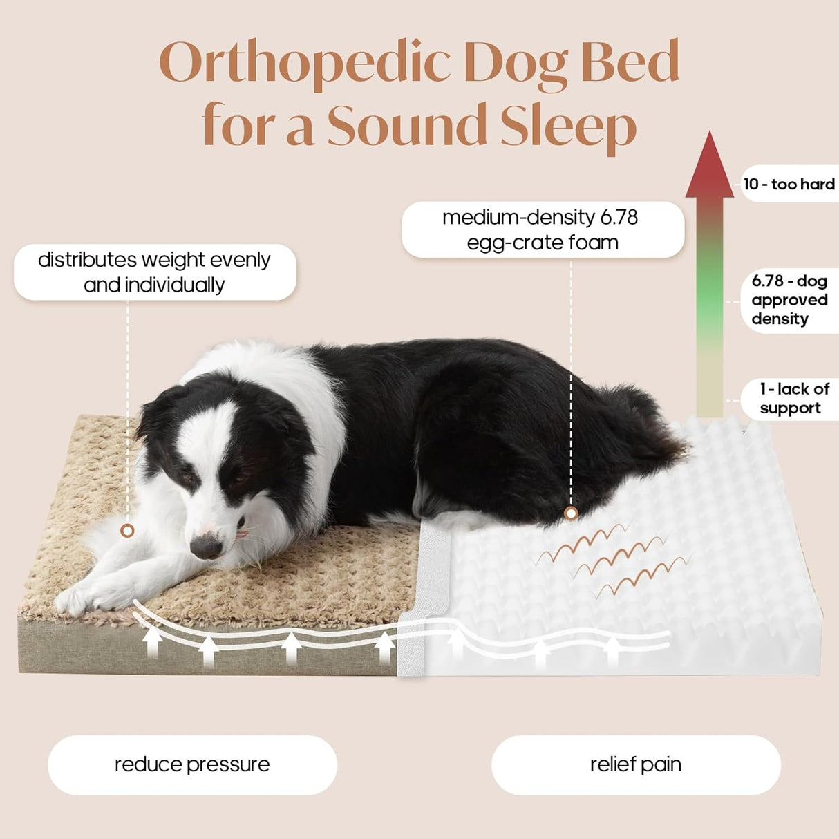 Cama Mediana para Perros hasta 35 lbs, Espuma Ortopédica