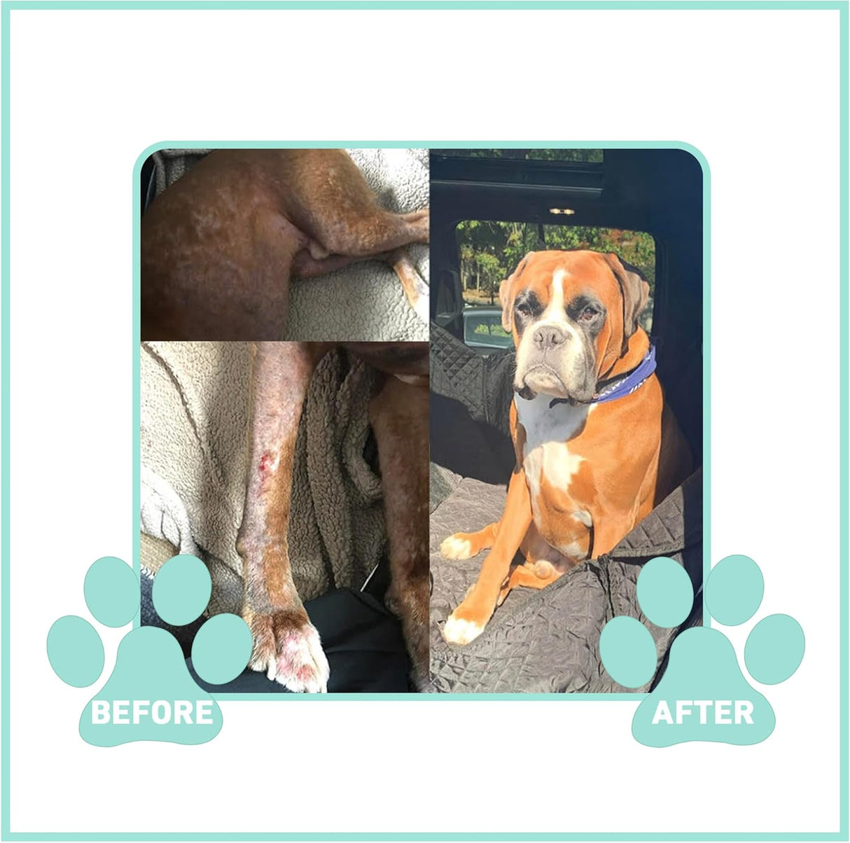 Vitaminas o Suplemento para piel y pelaje para perros