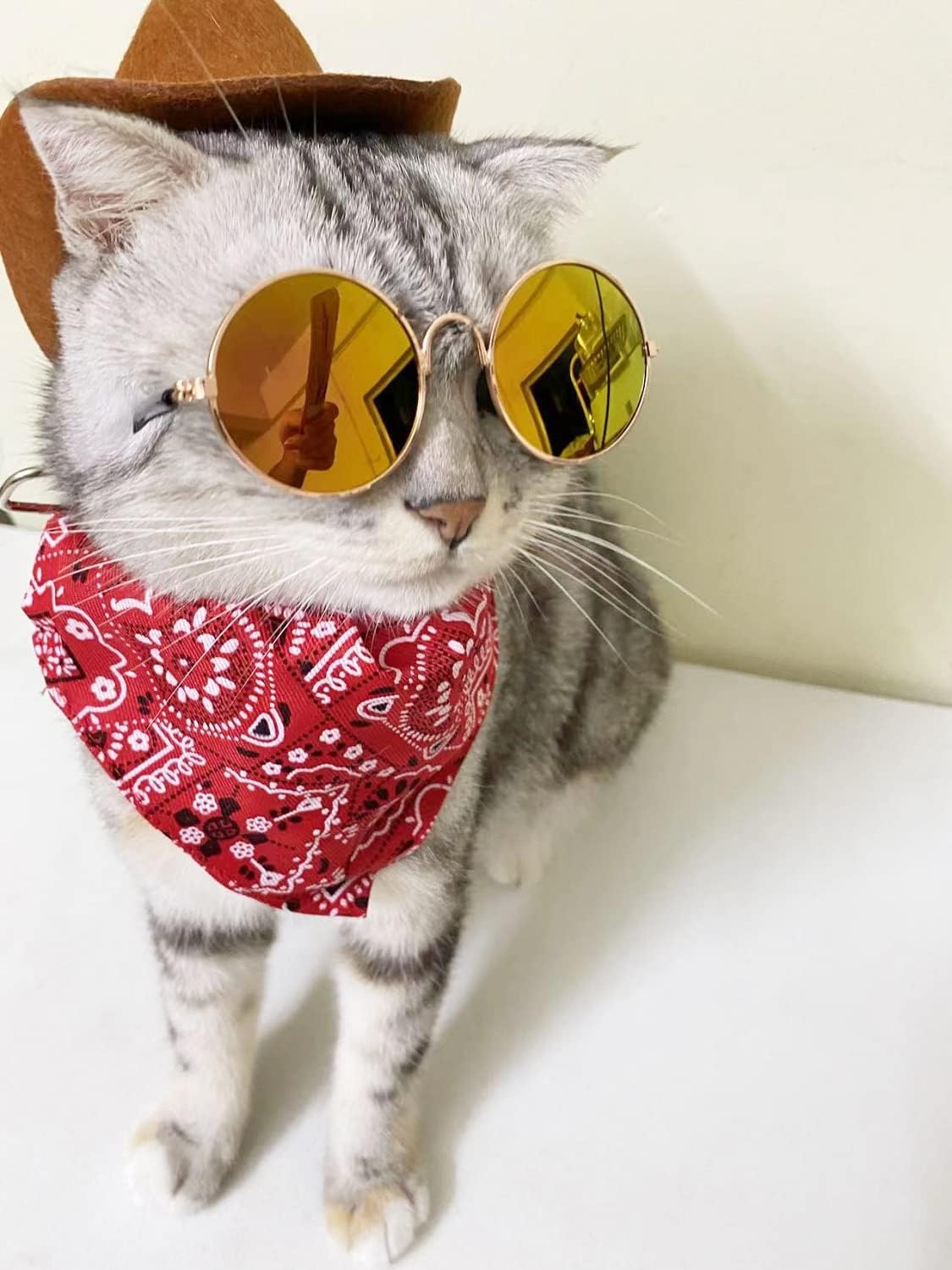 Disfraces de vaquero de 3 piezas para mascotas talla única