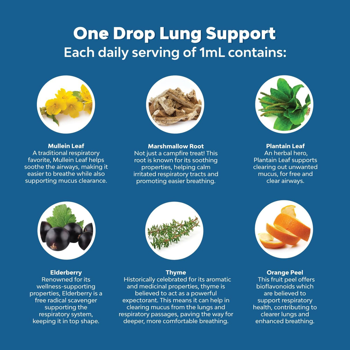 Suplemento Gotas orgánicas de hojas de gordolobo 120 ml