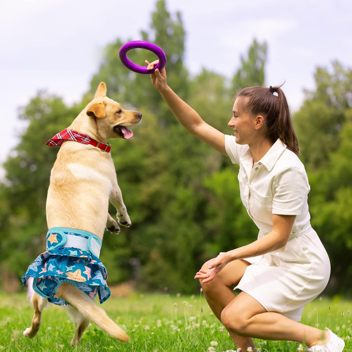 Pet Soft Pañales para perras – Paquete de 3 pañales lavables