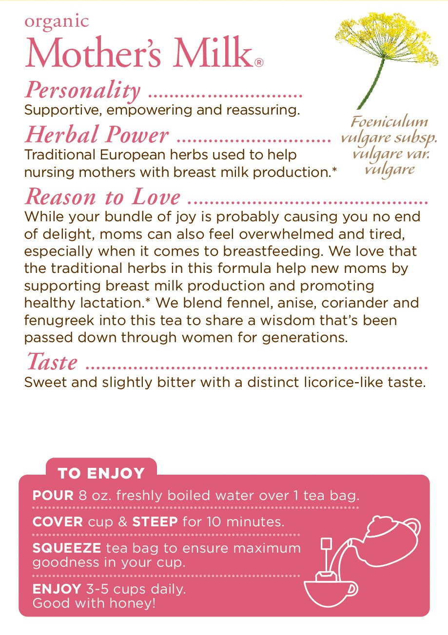 bolsitas de té (paquete de 6)