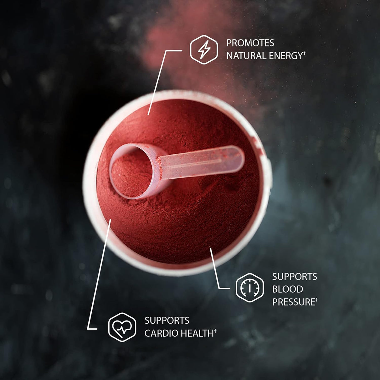 Suplementos Polvo de raíz de remolacha orgánico 12 onzas