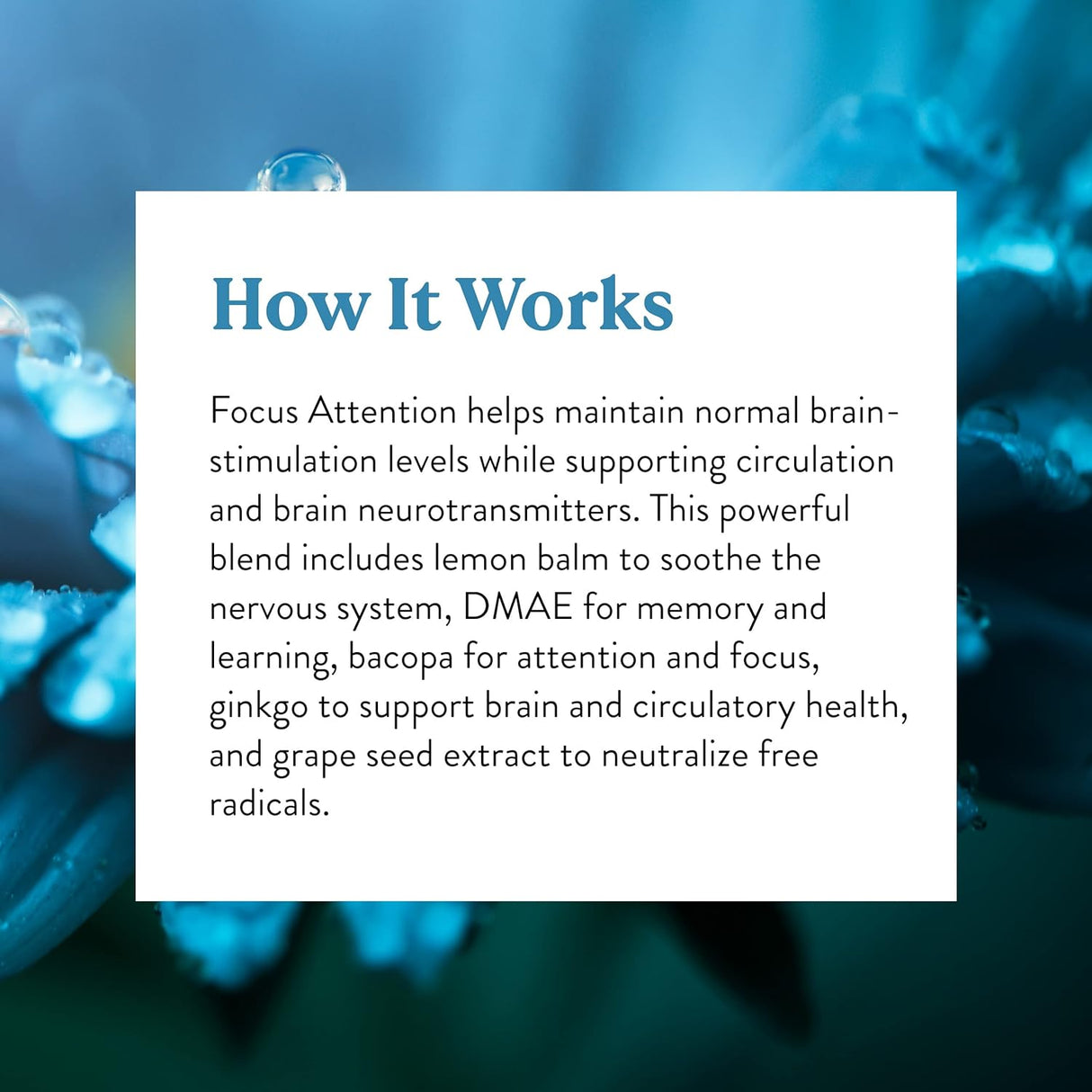 Cápsulas para el Enfoque y Circulación Cerebral, 90 Unidades