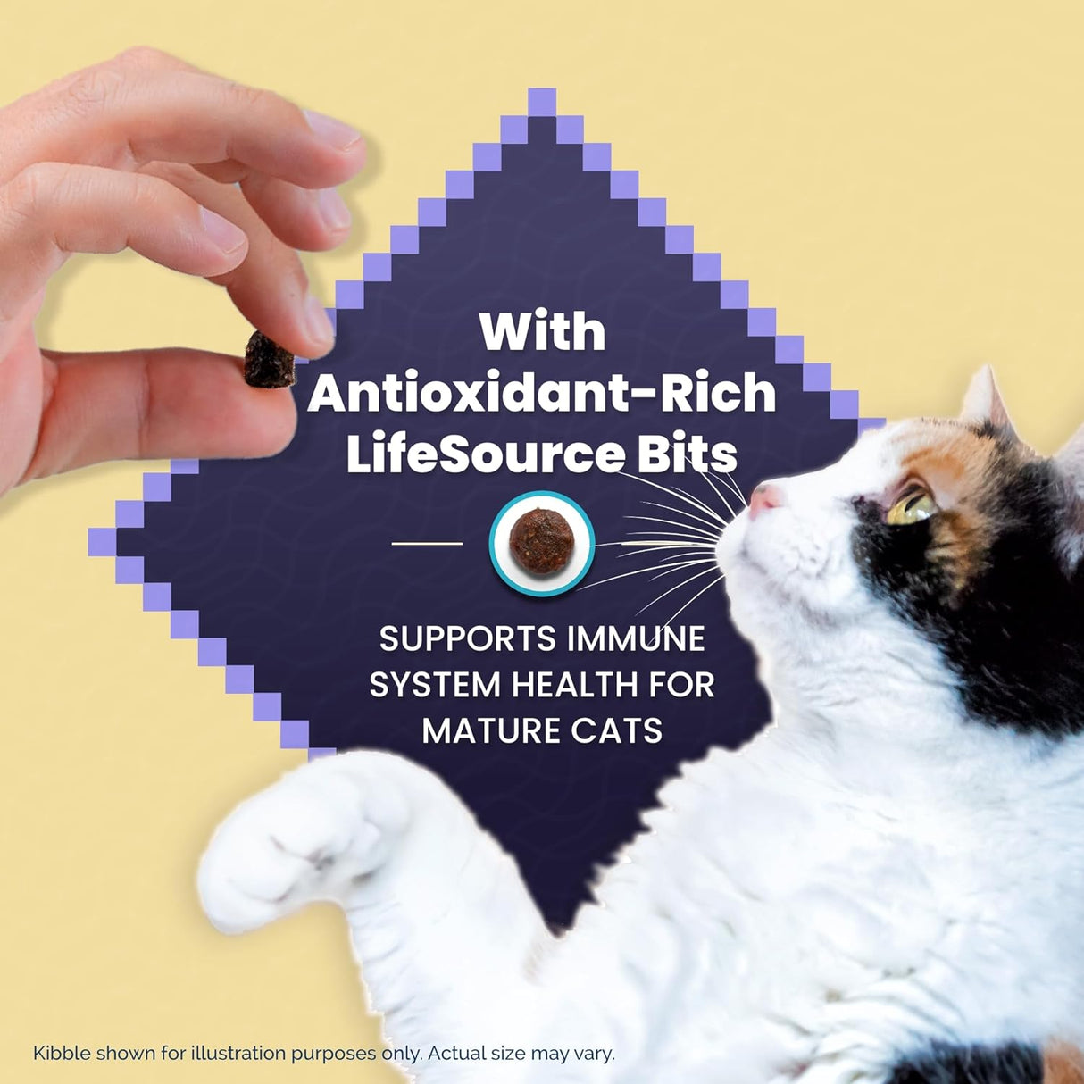 Blue Buffalo Alimento para gatos maduros, receta de pollo natural Wilderness Natural, alimento seco para gatos mayores, bolsa de 5 libras