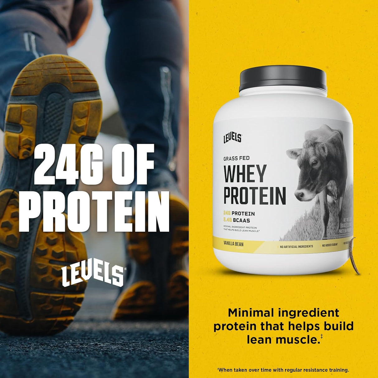 Niveles Proteína de Suero Grass Fed 24G Vainilla 5LB