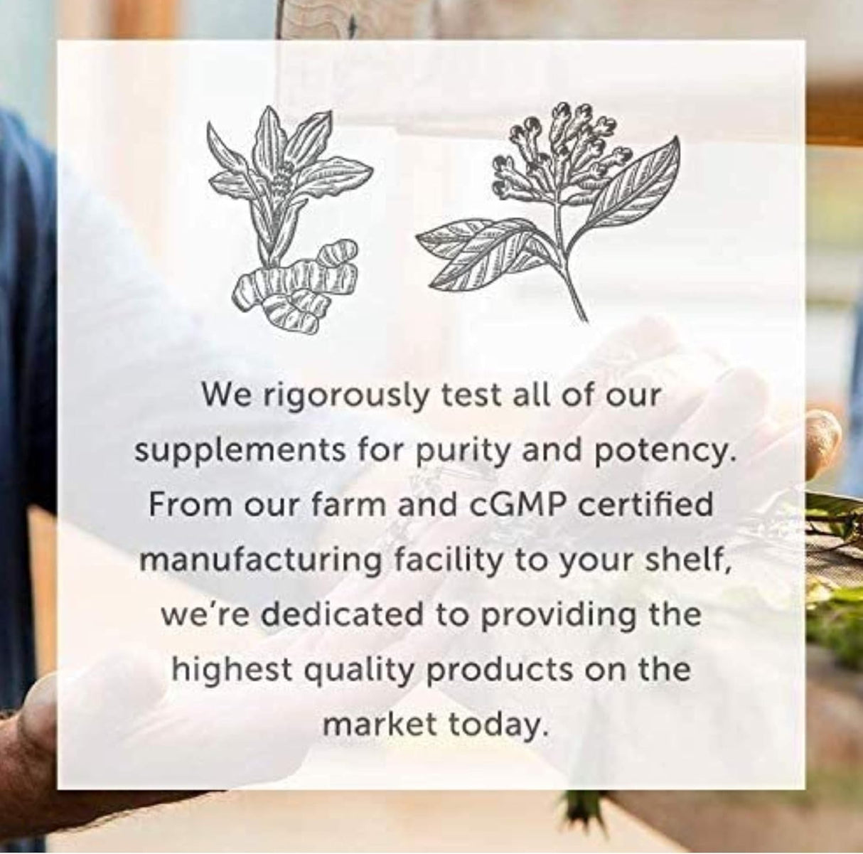 Suplemento probiótico (Floratrex) con prebióticos 36 cepas