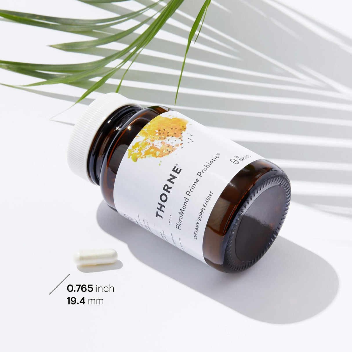 Suplementos Probiotico y el estómago acid-resistant