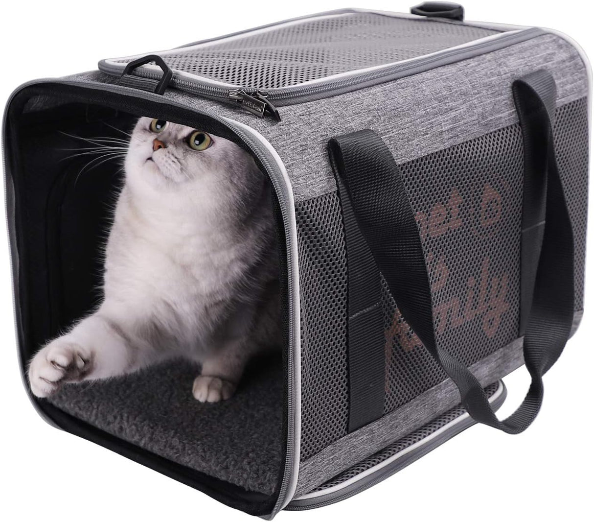 Transportín Grande para Gatos, petisfam, Con Ventanas Privadas