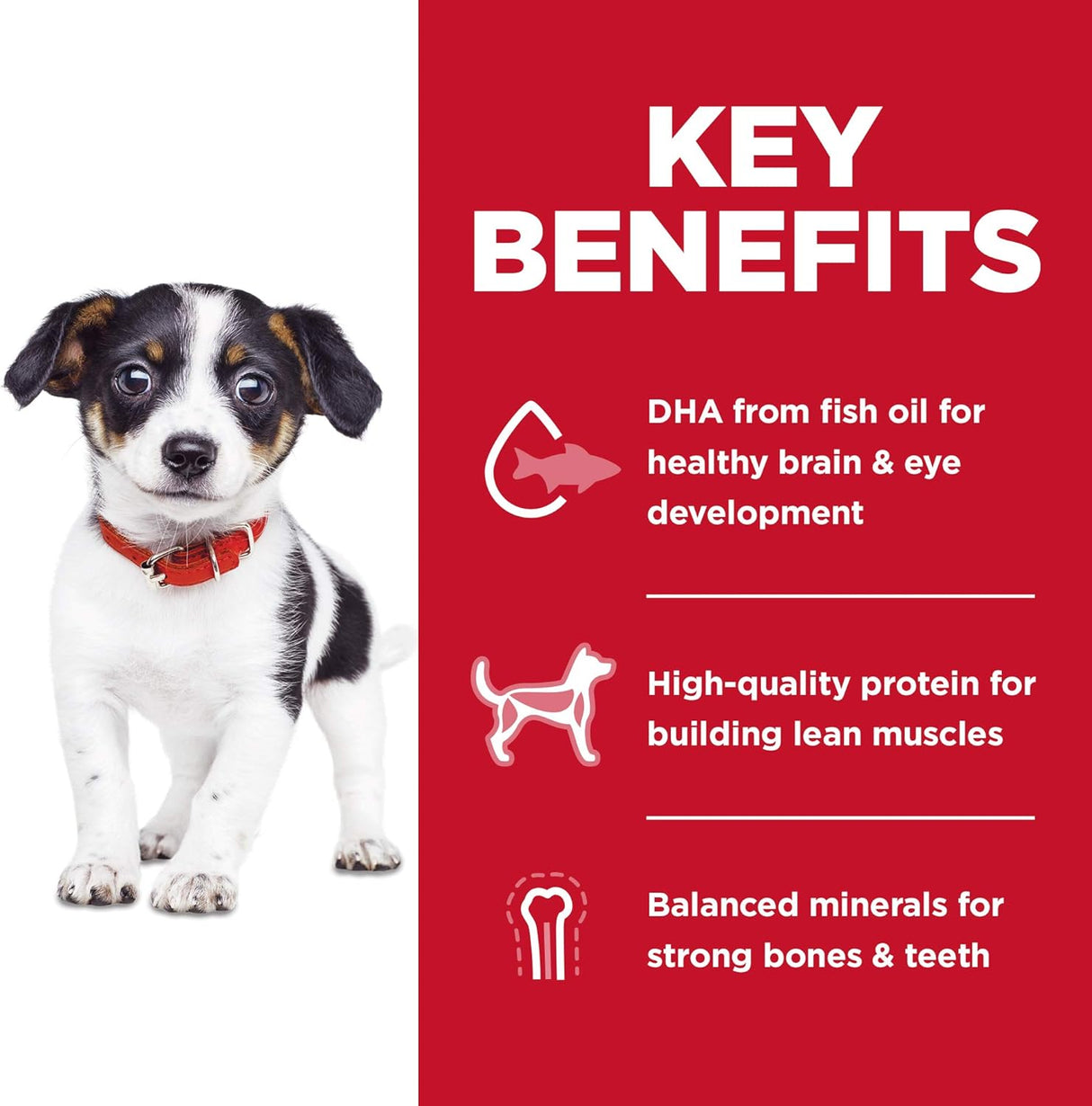 Alimento para Perros seco para perros sin maíz de pollo