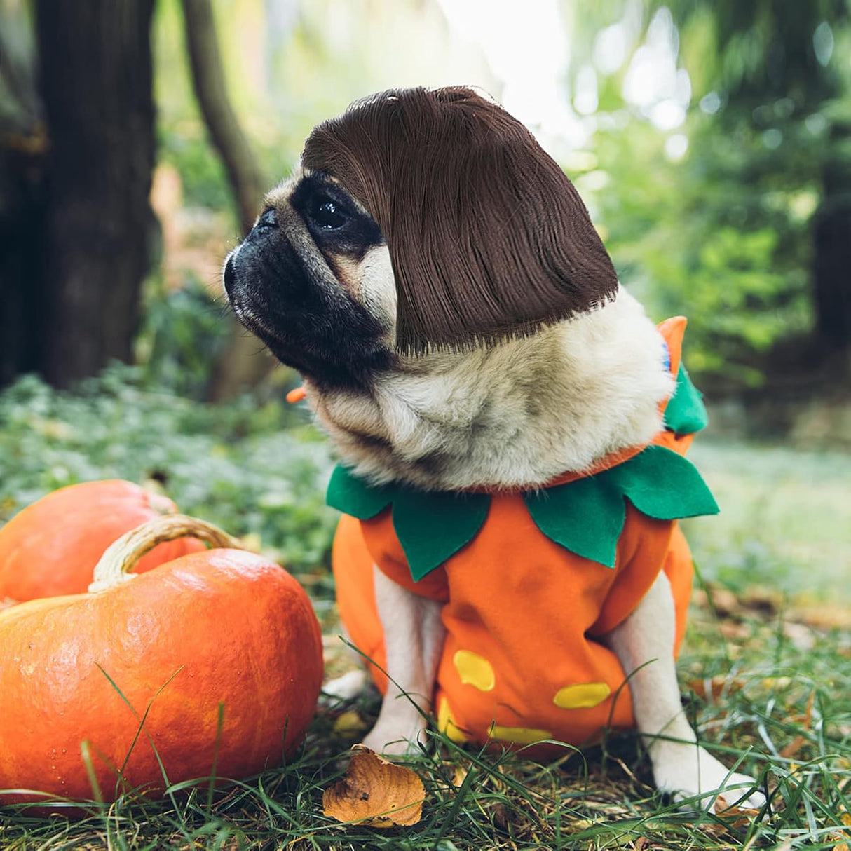 Cobee Divertida peluca de cosplay para perros y gatos, peluca ajustable para mascotas, disfraz divertido para mascotas, disfraz para perros pequeños, medianos y grandes, decoraciones de disfraces para Halloween, Navidad, fiestas, festivales