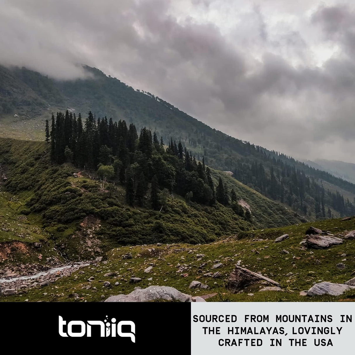 Suplemento Berberina de ultra alta resistencia 1500 mg 180u