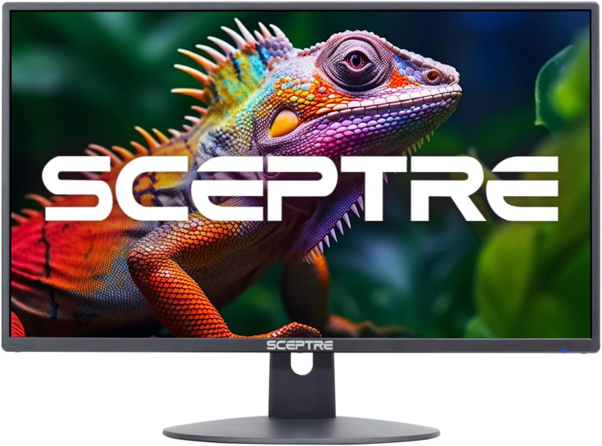 Monitor LED 24 Sceptre 1080p, 99% sRGB, 2x HDMI, E248W-19203R
