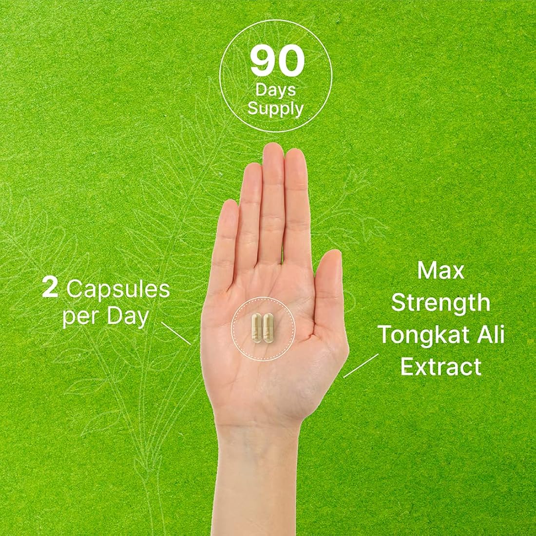 Suplementos Tongkat Ali Extracto 1100 mg por porción