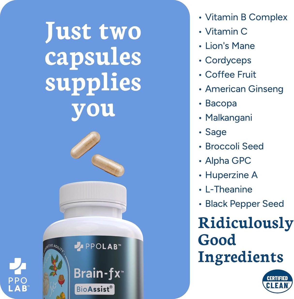 Soporte Cerebral Nootrópico, Memoria y Enfoque, Cápsulas Veganas