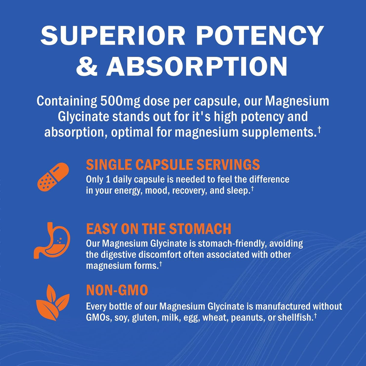 Magnesium Glycinato - Suplemento de 500mg, 240 cápsulas