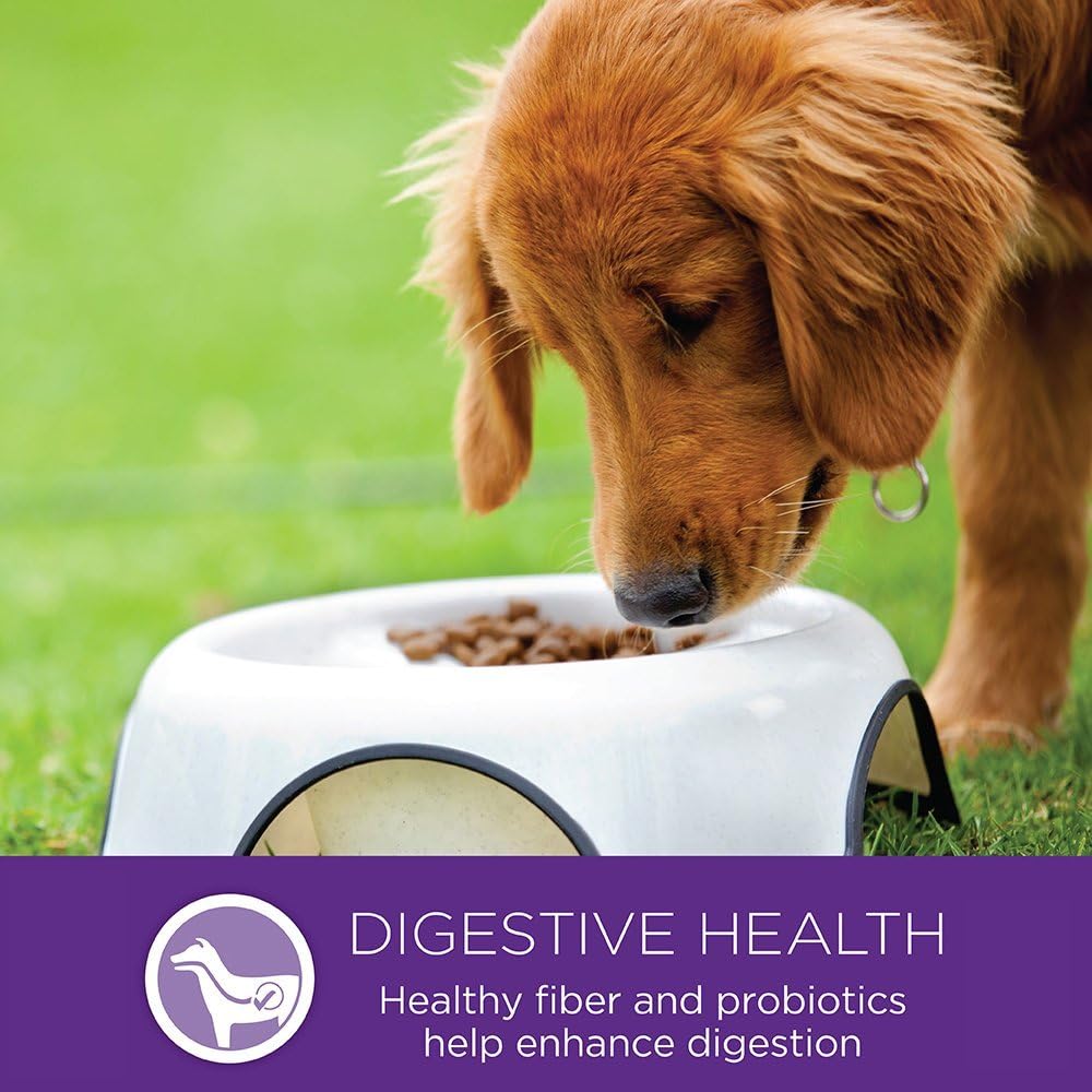 Alimento seco natural para perro de raza pequeña Wellness