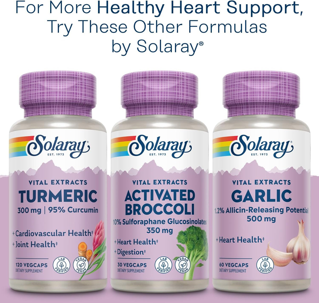 Suplementos Arroz de levadura roja Plus CoQ-10 vitamina B-3