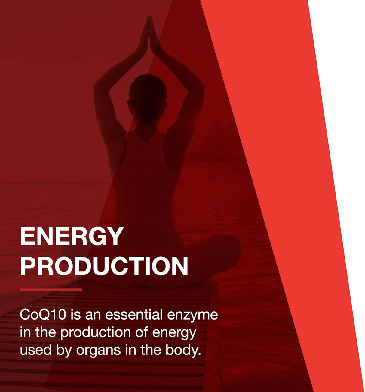 Suplementos Alimenticios Soporte cardiovascular