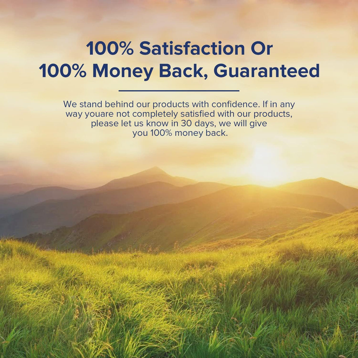 Probióticos 3 en 1 con Prebióticos y Enzimas