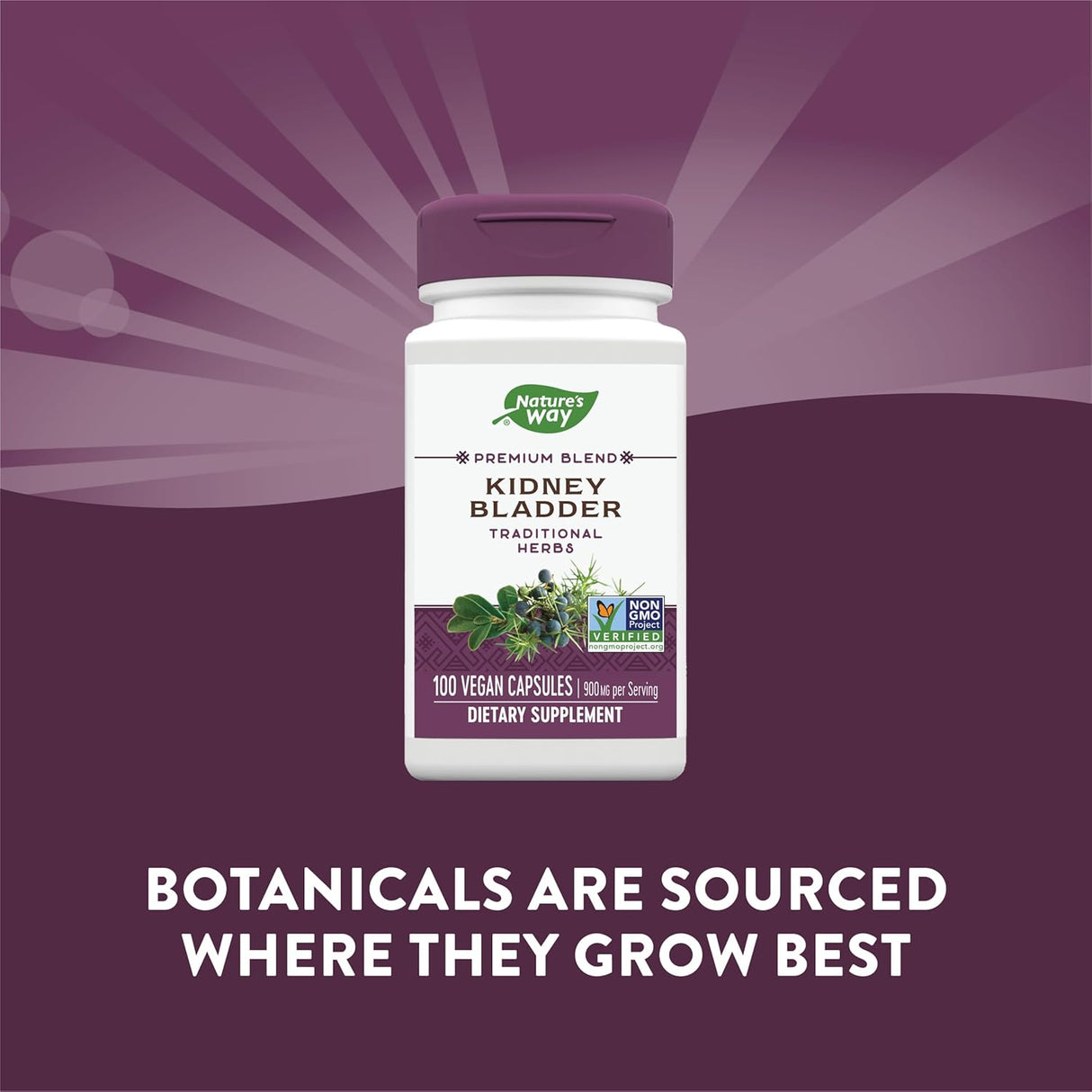 Suplemento Nature 's Way vejiga de riñón 100 Cápsulas