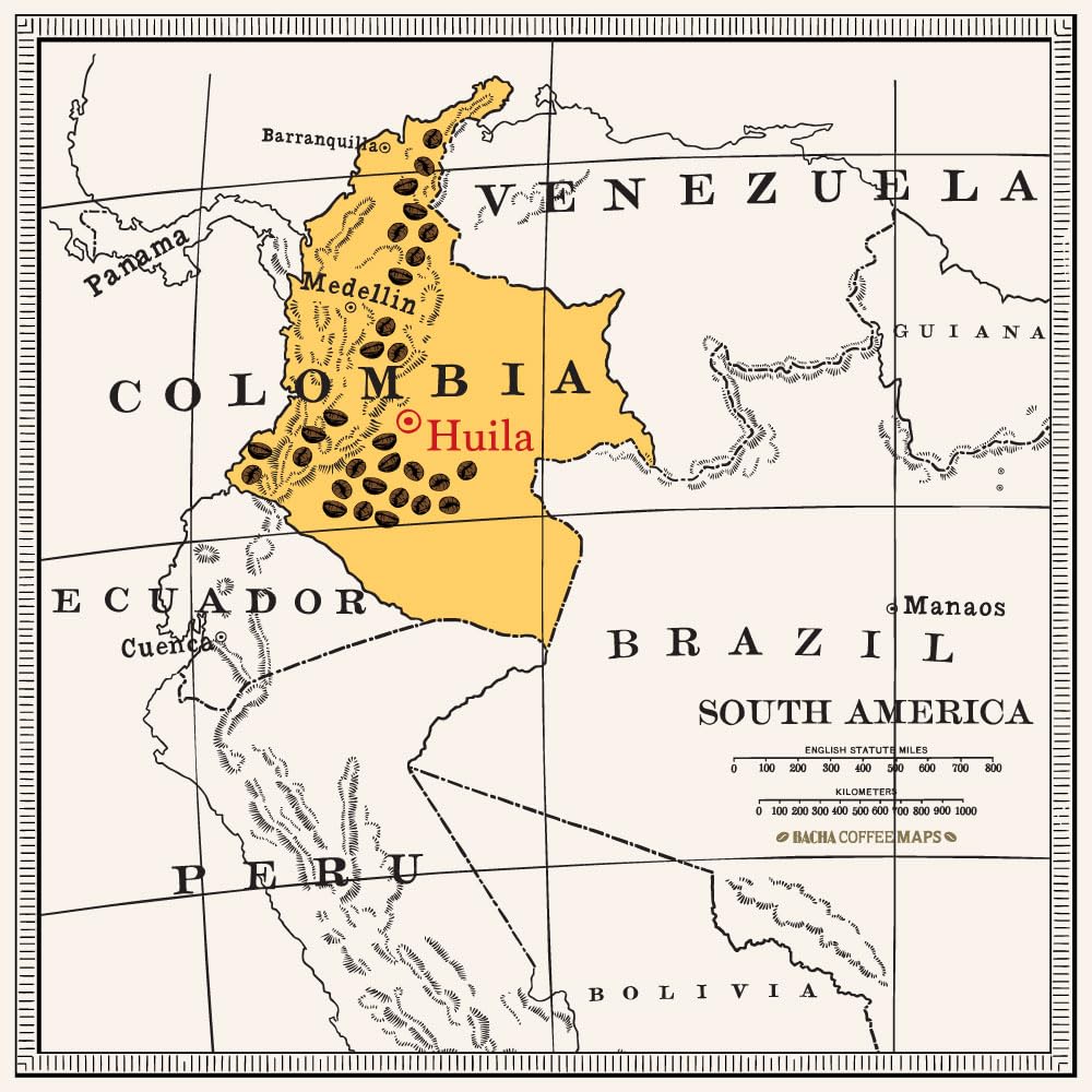 Café Magdalena Descafeinado Bacha Coffee 12 Filtros 100% Arábica