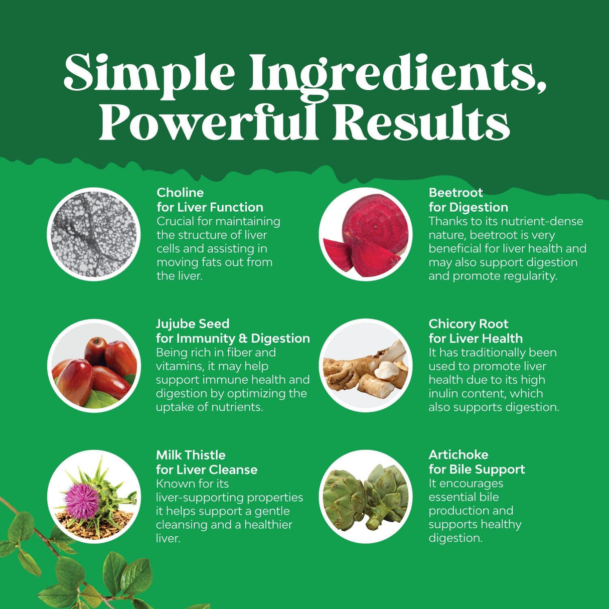 Suplemento de apoyo hepático de cardo mariano de hígado