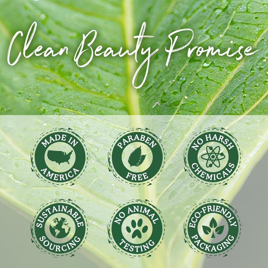 Champú de árbol de té para hombres y mujeres PHARM TO TABLE