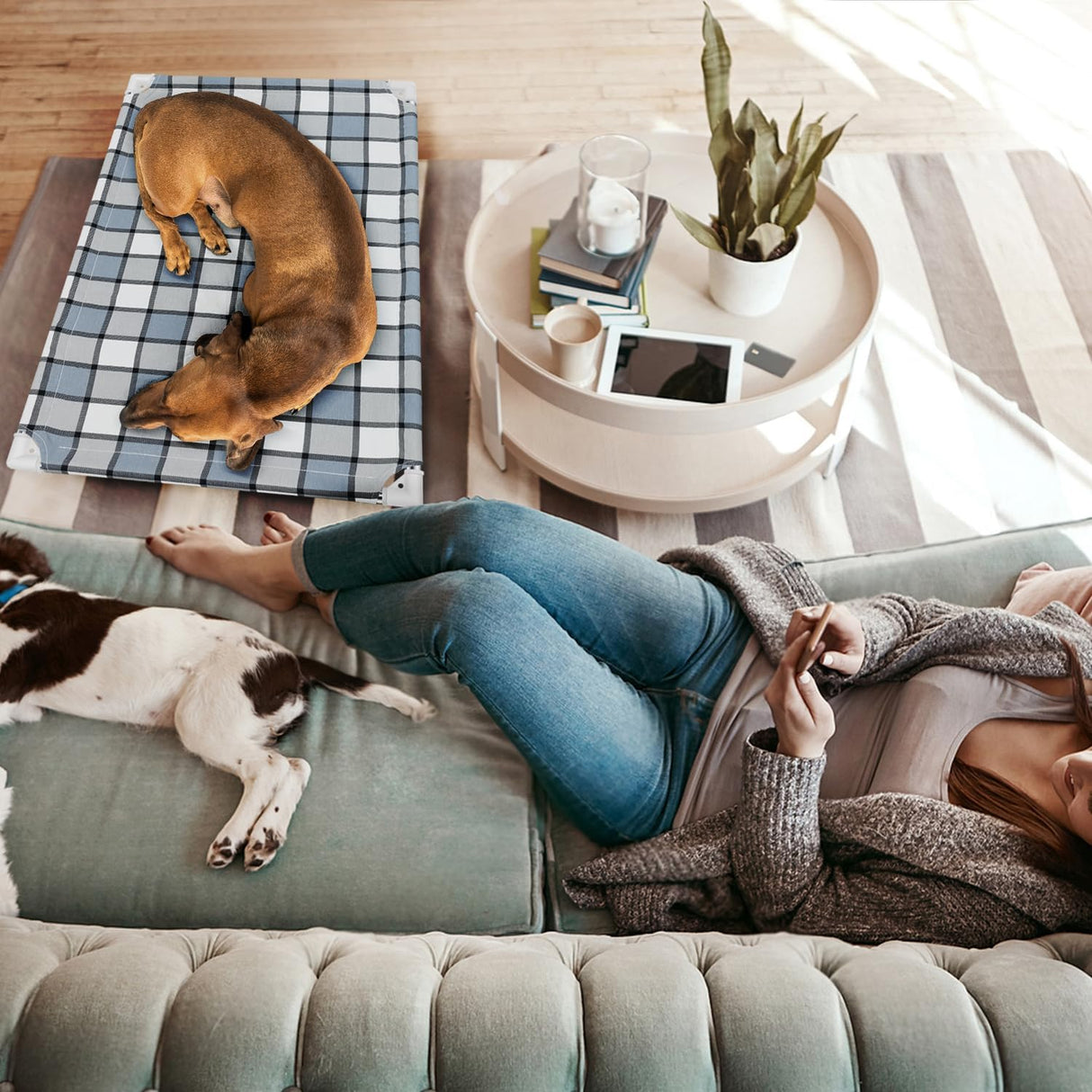 Cama Elevada para Perro Taste Life - Resistente y Cómoda