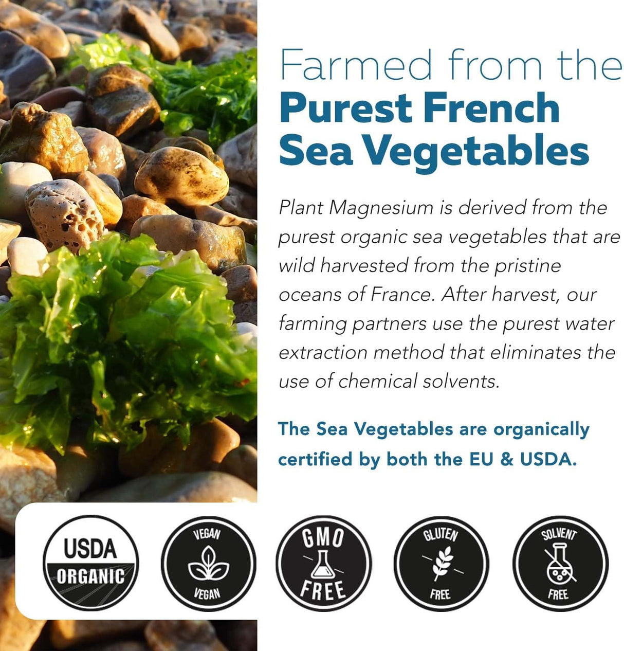 Magnesio Orgánico de Alimentos Integrales - 250 mg