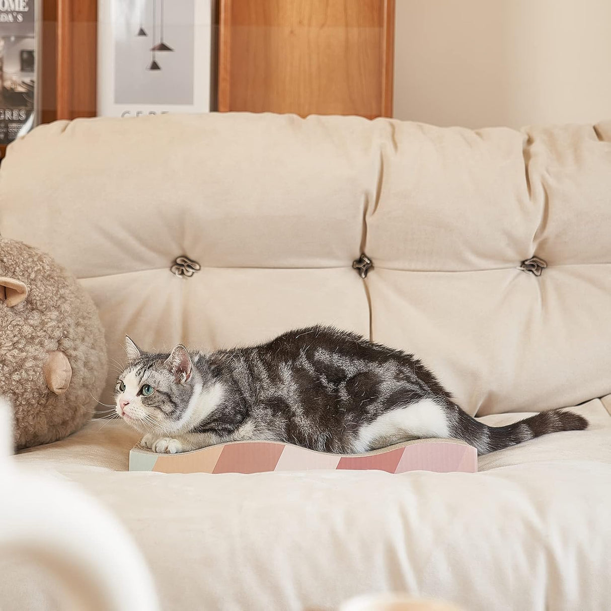 Rascador de gato para gatos de cartón 5 unidades