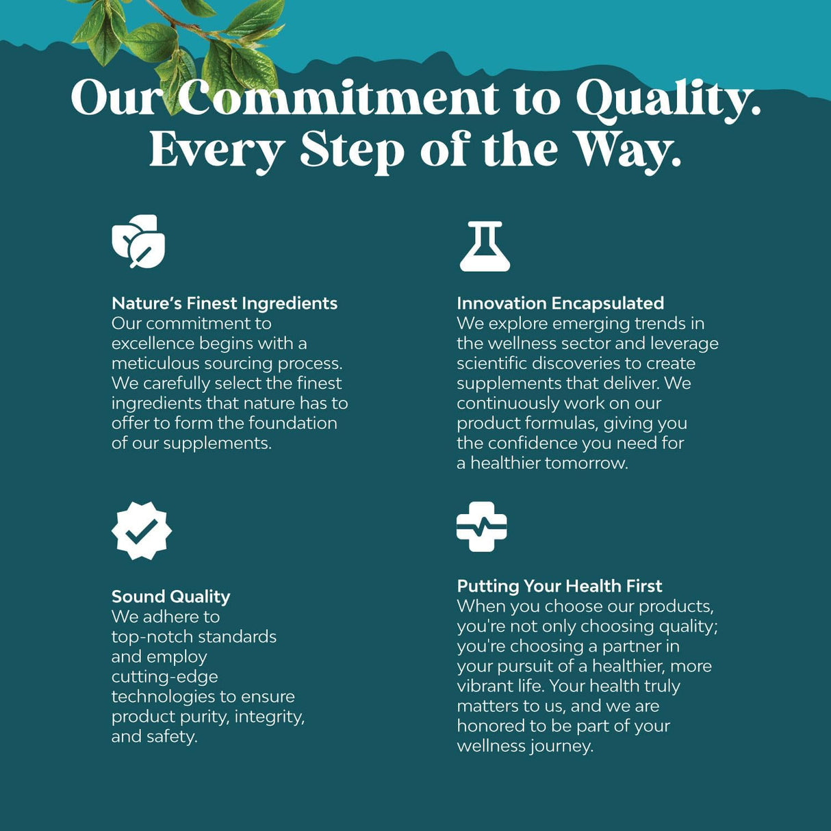 Cápsulas de Niacinamida B3 500mg - Energía y Suplemento Piel