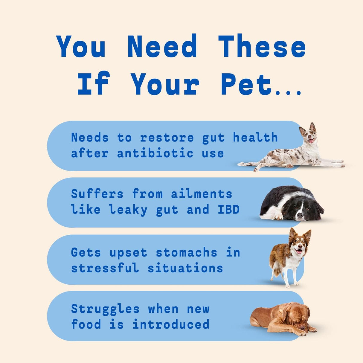 Vitaminas Probiótico para perros Polvo probiótico