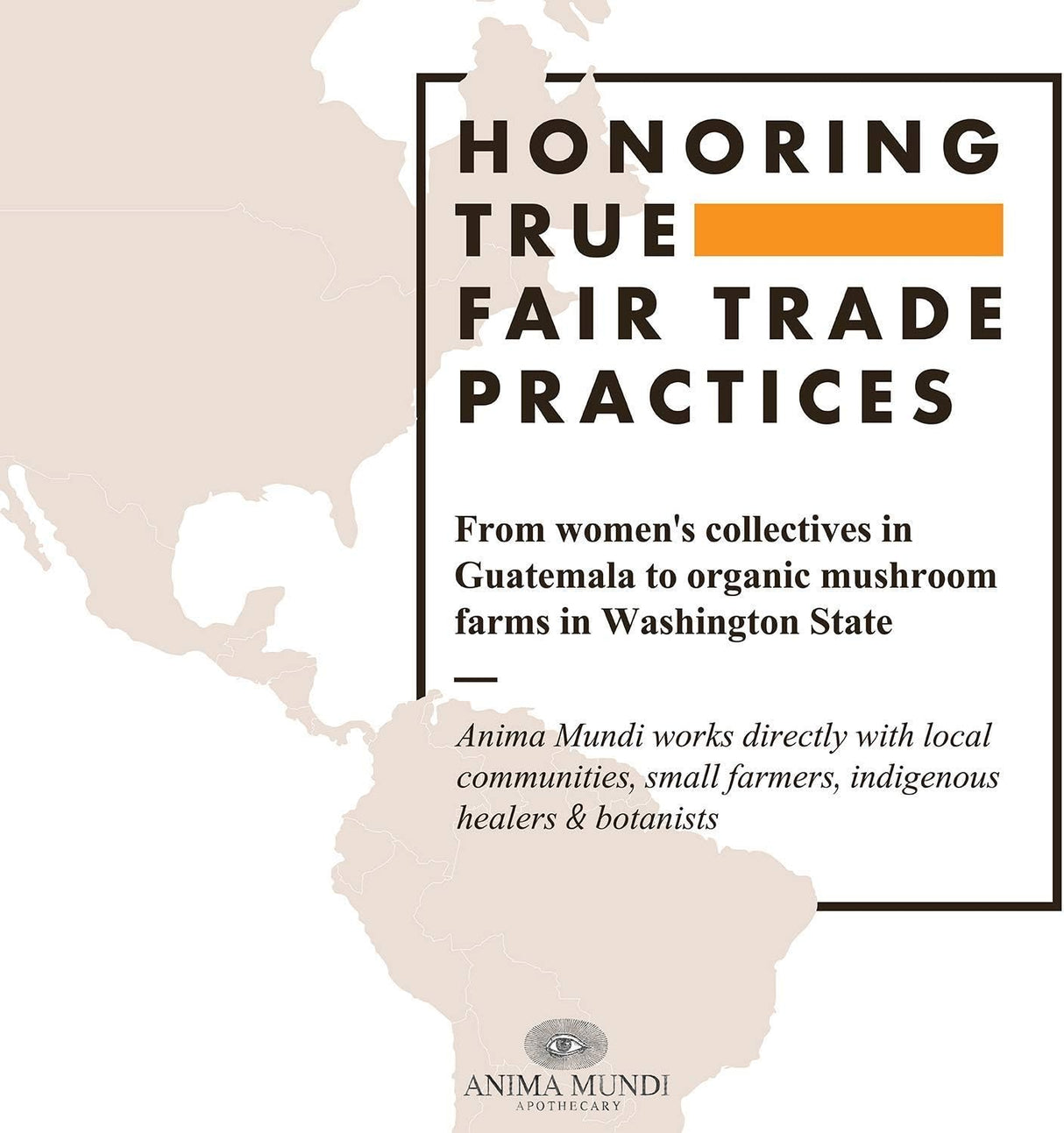 Anima Mundi Schisandra Rose Elixir Suplemento adaptógeno