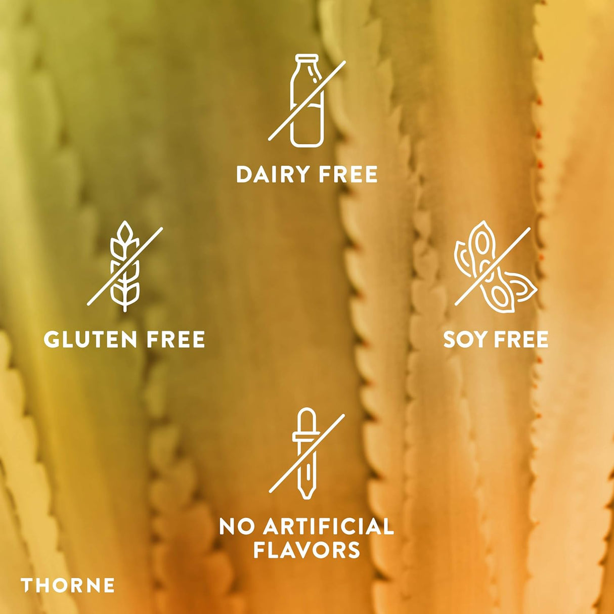 Suplementos Probiotico y el estómago acid-resistant