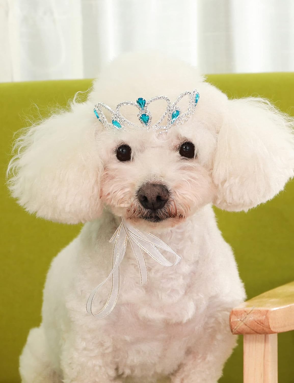 Disfraces de Tiara de diamantes talla M