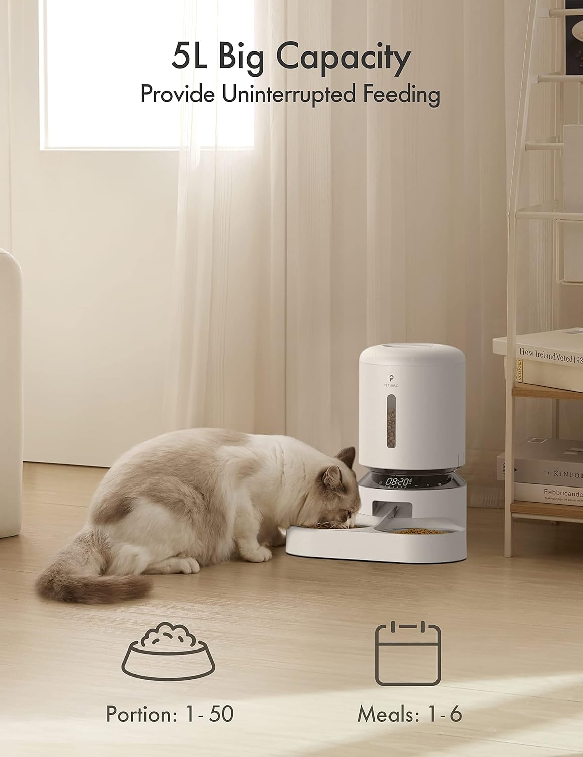 Comedero automático para gatos alimentos secos de 5 litros
