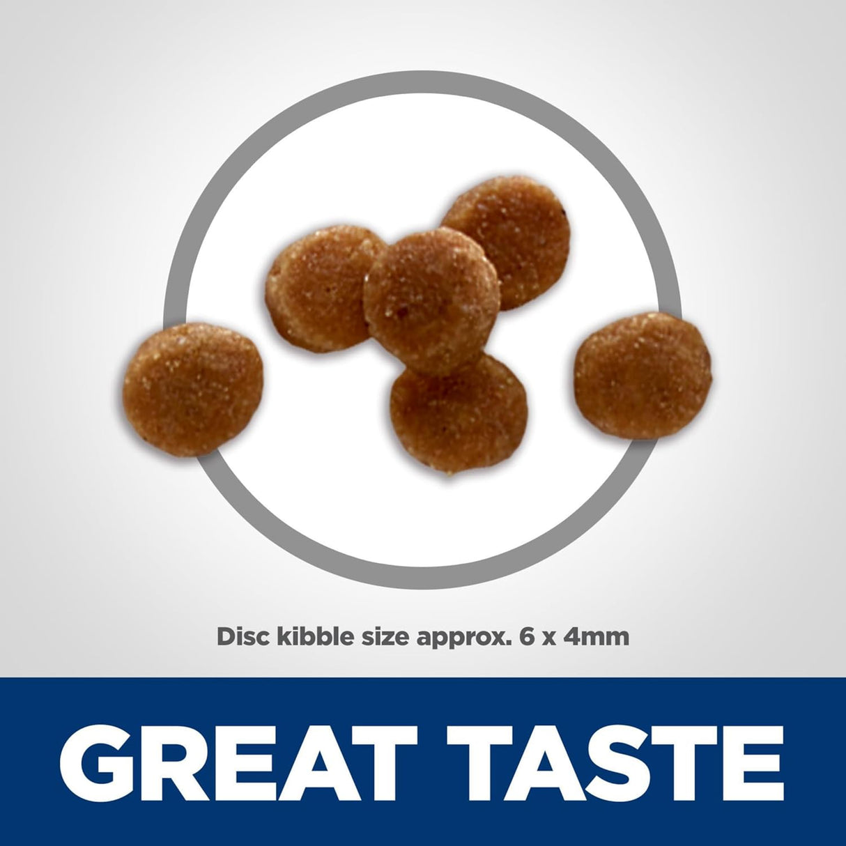 Hill's Science Diet Kitten - Alimento seco para gatos sin maíz, trigo o soja, receta de pollo, bolsa de 6 libras