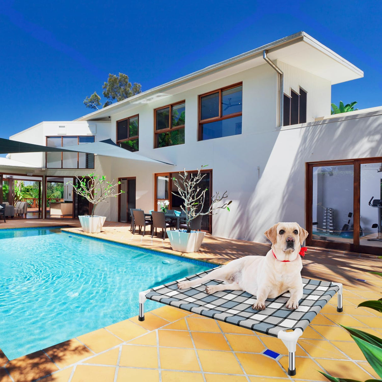 Cama Elevada para Perro Taste Life - Resistente y Cómoda