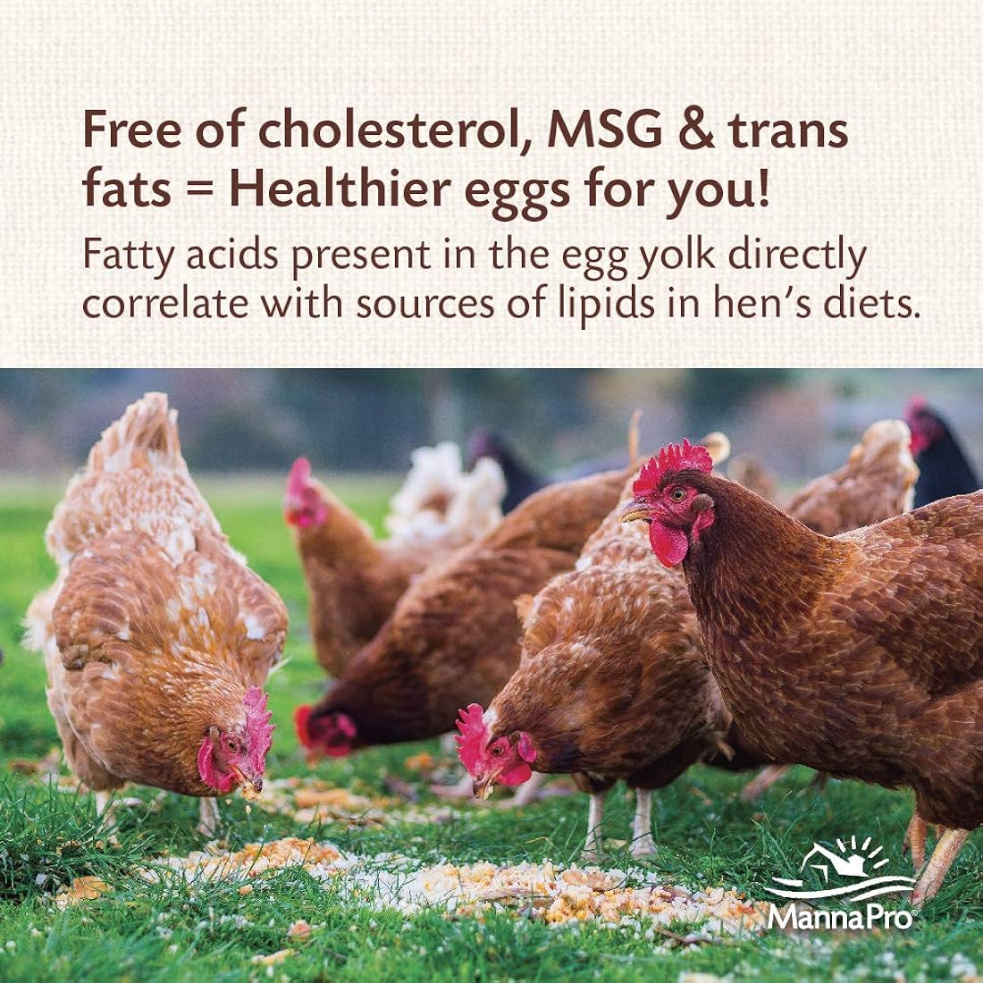 Golosina de pollo rica en nutrientes de 10 libras