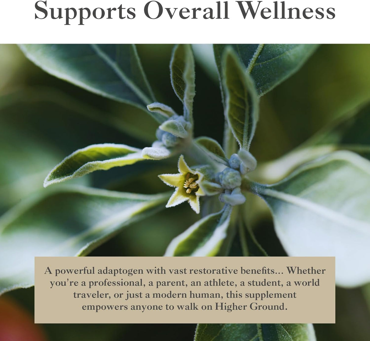 Suplemento de Ashwagandha con Pimienta Negra 60 Cápsulas