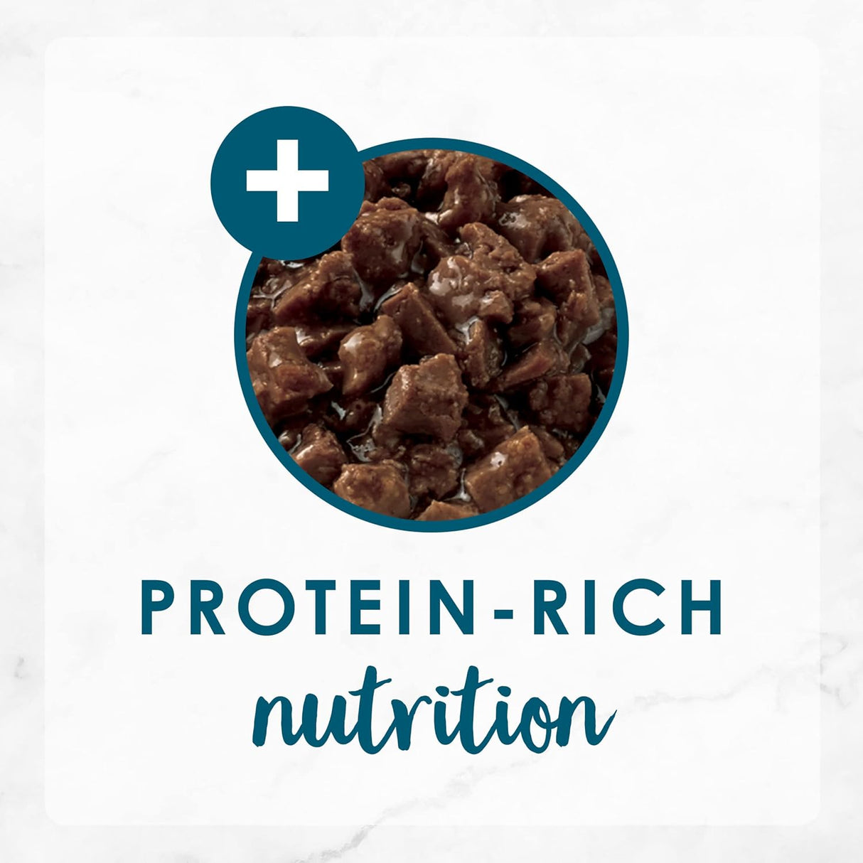 Alimento para Gato enlatada 24 Pack