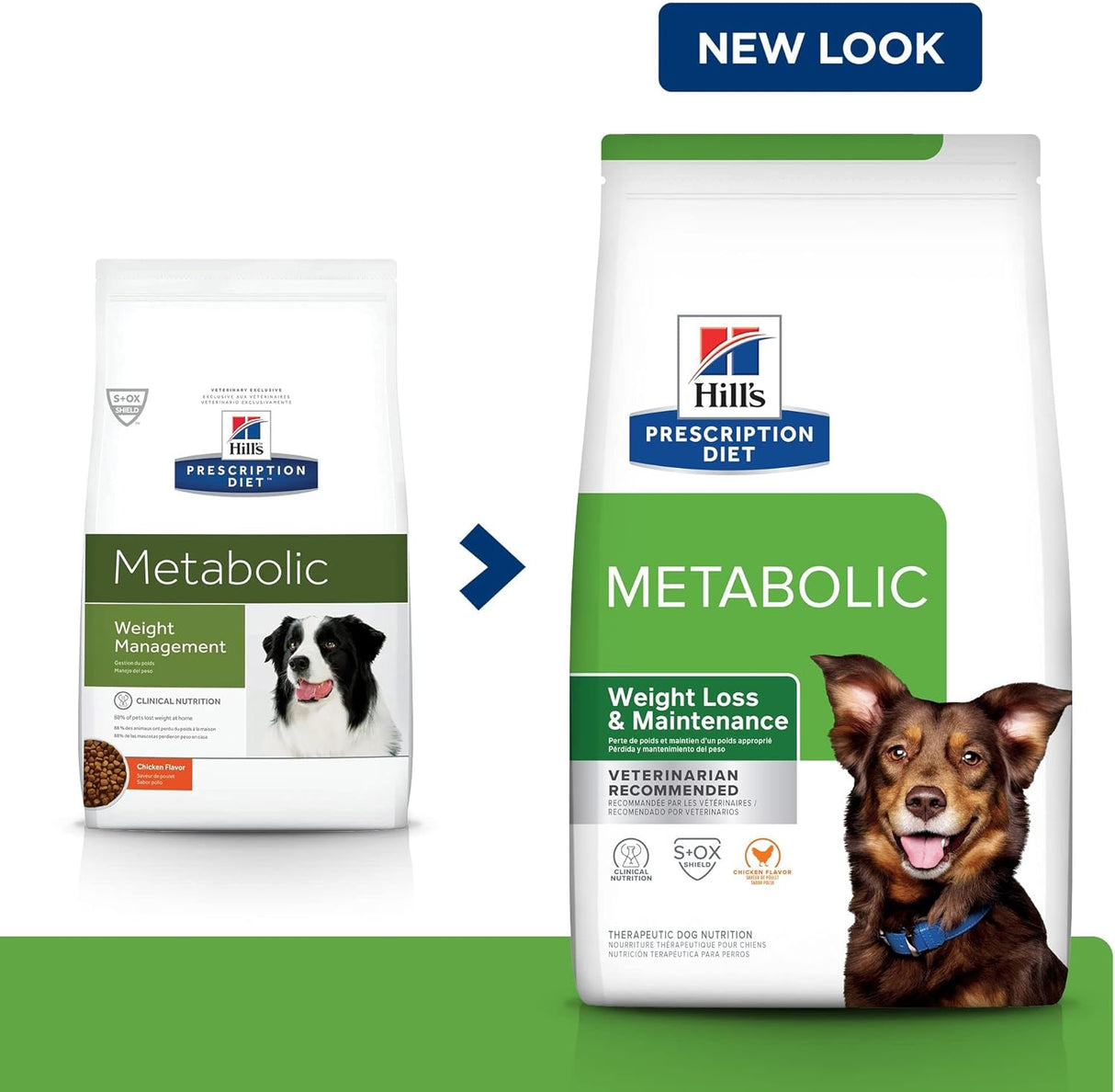 Alimento para Perros seco con sabor a pollo