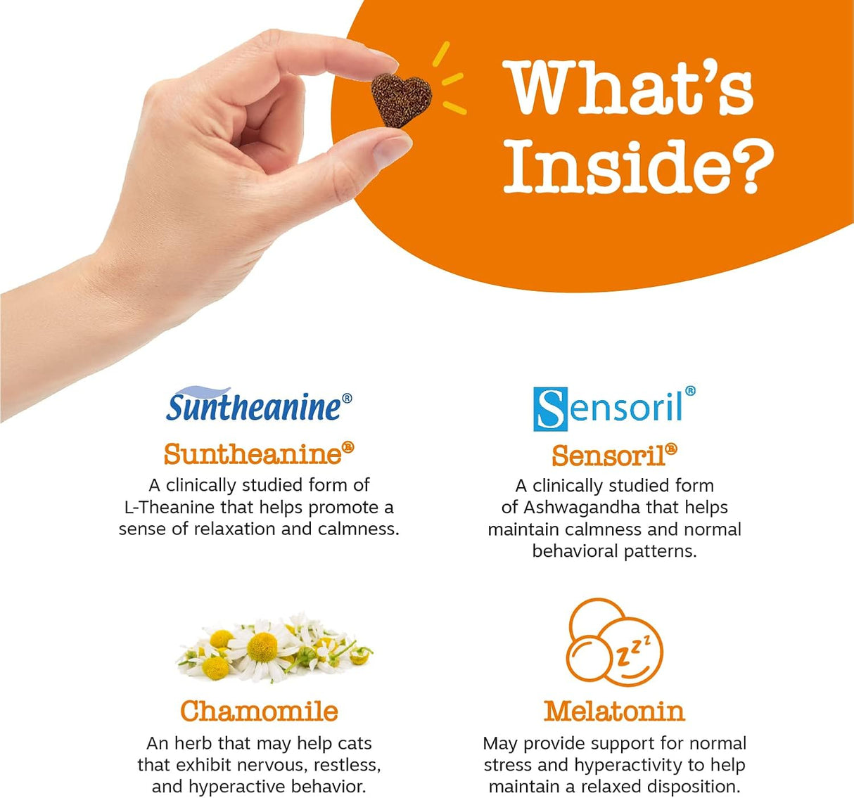 Suplementos para gatos Apoya el estrés