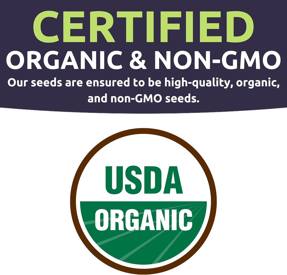 Pack de Semillas de Hierbas Orgánicas - 10 Variedades - 2025