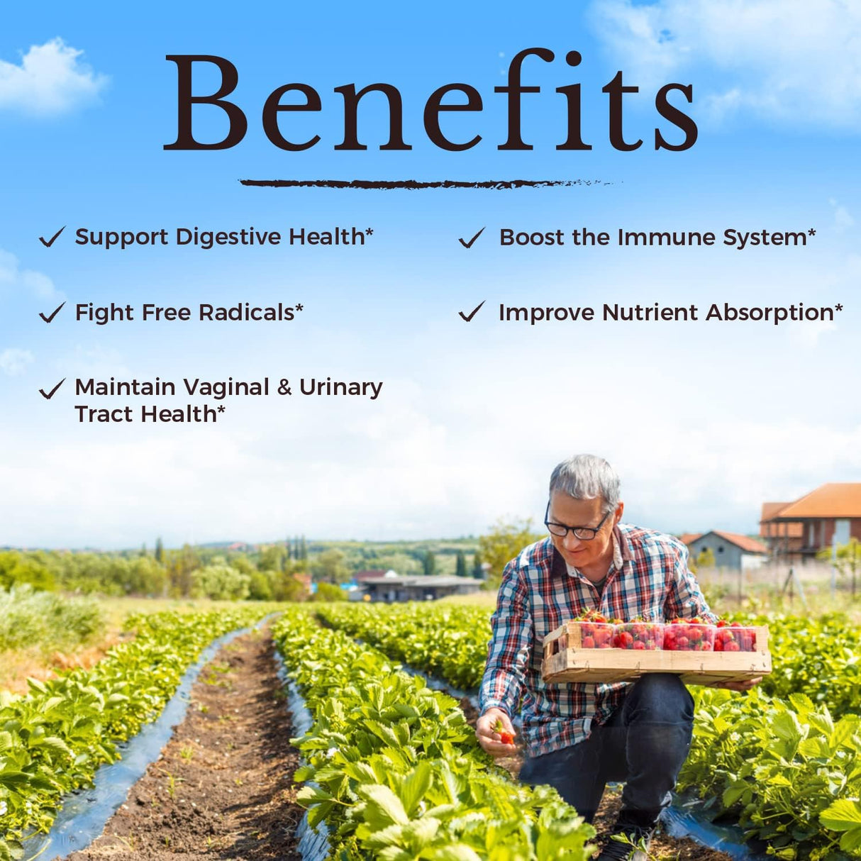 Suplementos Probióticos para mujer 120 mil millones de UFC