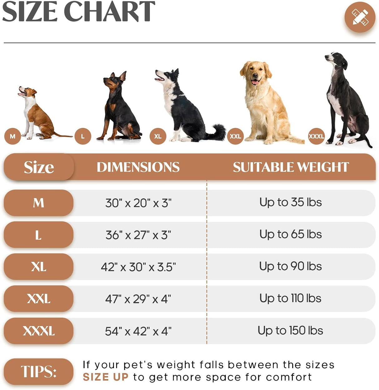 Cama Mediana para Perros hasta 35 lbs, Espuma Ortopédica