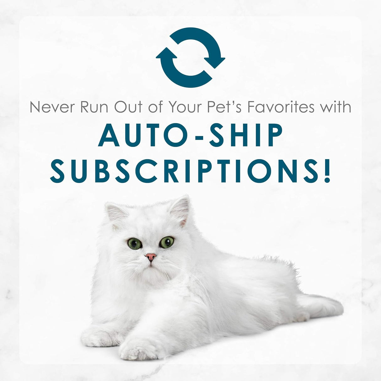 Alimento para Gato enlatada 24 Pack