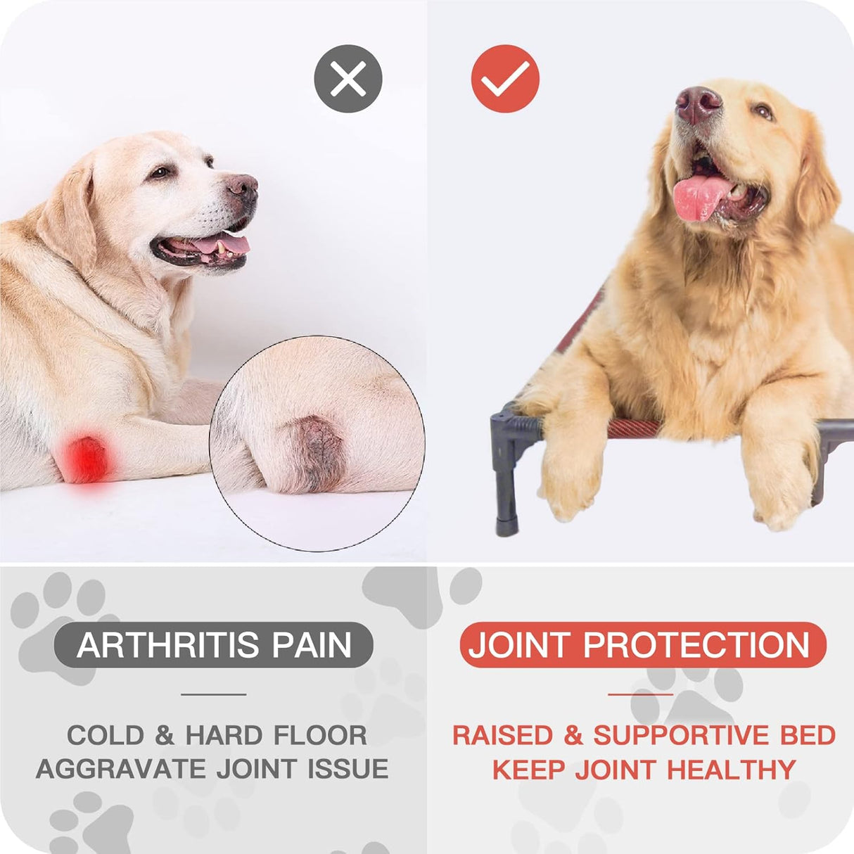 Cama Elevada para Perros Suddus Impermeable X-Large Portátil